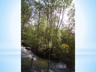 Visitas de estudo experiências e outras