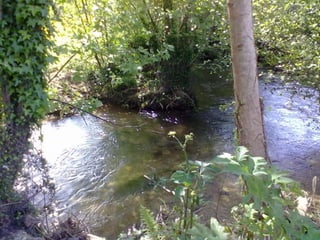 Visitas de estudo experiências e outras