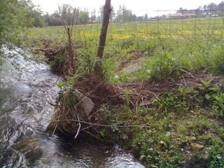 Visitas de estudo experiências e outras