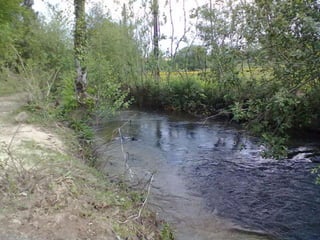 Visitas de estudo experiências e outras