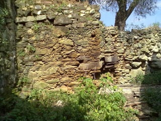 Visitas de estudo experiências e outras