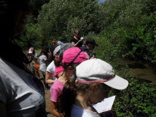 Visitas de estudo experiências e outras