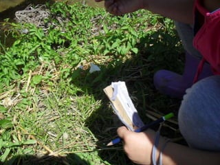 Visitas de estudo experiências e outras