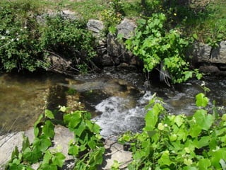 Visitas de estudo experiências e outras