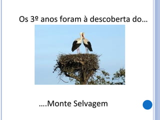 Os 3º anos foram à descoberta do…
….Monte Selvagem