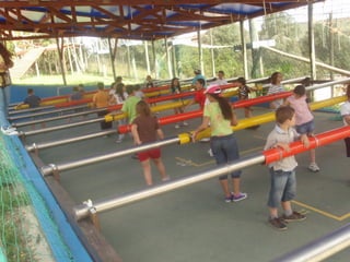 Visitas de estudo final de ano