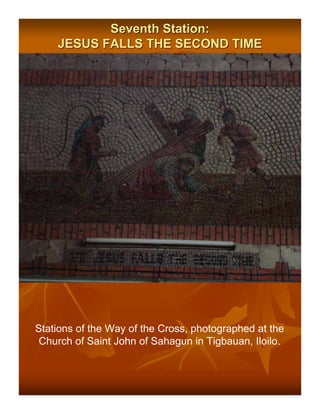 Seventh Station:
    JESUS FALLS THE SECOND TIME




Stations of the Way of the Cross, photographed at the
 Church of Saint John of Sahagun in Tigbauan, Iloilo.
 