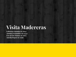 Visita Madereras
Gabriela Guzmán 16-0645
Amabel Fernandez 16-0442
Lisa de los Santos 16-0615
Amelia Pepen 16-0196
 