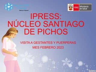 IPRESS:
NÚCLEO SANTIAGO
DE PICHOS
VISITA A GESTANTES Y PUERPERAS
MES FEBRERO 2023
 