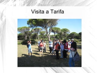 Visita a Tarifa 