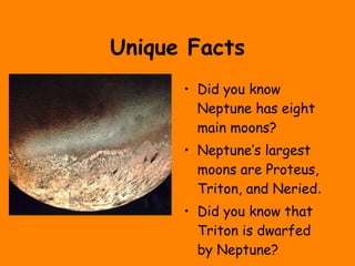 Unique Facts Did you know Neptune has eight main moons? Neptune’s largest moons are Proteus, Triton, and Neried .  Did you know that Triton is dwarfed by Neptune? 