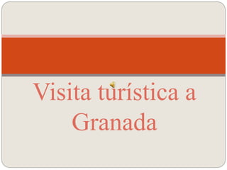 Visita turística a
Granada
 