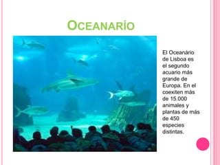 OCEANARÍO
El Oceanário
de Lisboa es
el segundo
acuario más
grande de
Europa. En el
coexiten más
de 15.000
animales y
plantas de más
de 450
especies
distintas.
 