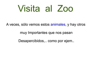 Visita  al  Zoo A veces, sólo vemos estos  animales , y hay otros muy Importantes que nos pasan Desapercibidos,.. como por ejem.. 