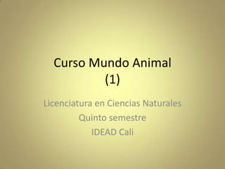 Curso Mundo Animal
          (1)
Licenciatura en Ciencias Naturales
         Quinto semestre
            IDEAD Cali
 