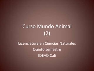 Curso Mundo Animal
          (2)
Licenciatura en Ciencias Naturales
         Quinto semestre
            IDEAD Cali
 