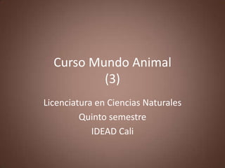 Curso Mundo Animal
          (3)
Licenciatura en Ciencias Naturales
         Quinto semestre
            IDEAD Cali
 