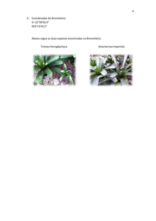4

6. Coordenadas do Bromeliário:
   S= 22°58’02,4”
   043°13’42,5”



   Abaixo segue as duas espécies encontradas no Bromeliário:

          Vriesea hieroglipchyca                         Alcantarnea Imperialis
 