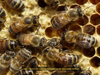 Les nourrices viennent rassurer la nouvelle venue.
 