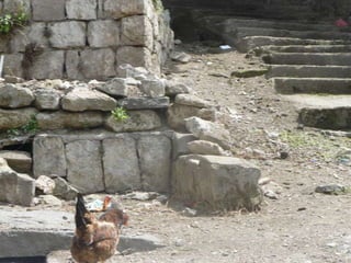 Visitem els voltants de kayseri