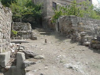 Visitem els voltants de kayseri