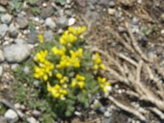 Visitem els voltants de kayseri