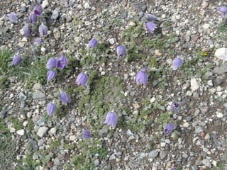 Visitem els voltants de kayseri