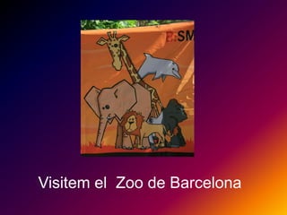 Visitem el Zoo de Barcelona 