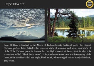 Cape Elokhin




Cape Elokhin is located in the North of Baikalo-Lensky National park (the biggest
National park at Lake Baikal0. there are 50 kinds of mammal and about 240 kinds of
birds. This National park is famous for the high amount of bears, that is why it is
sometimes called “Black bears acres”. It is possible to meet rare and interesting birds
there, such as white-tailed sea eagle, black stork, white-winged scoter, roody shelduck,
grey crane.
 