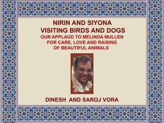 NIRIN AND SIYONA
VISITING BIRDS AND DOGS
OUR APPLAUD TO MELINDA MULLEN
FOR CARE, LOVE AND RAISING
OF BEAUTIFUL ANIMALS
DINESH AND SAROJ VORA
 