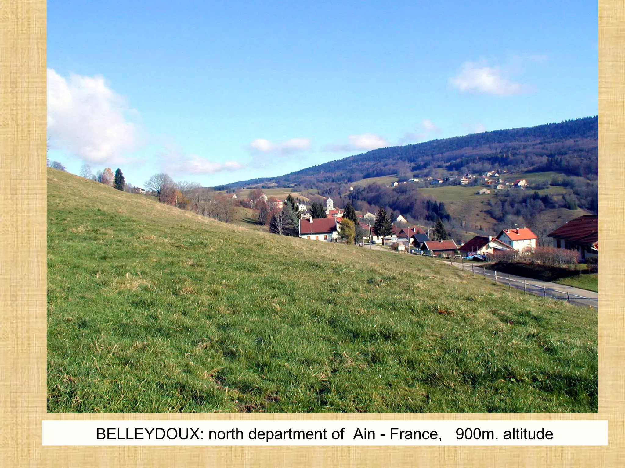 BELLEYDOUX: north department of Ain - France, 900m. altitude
 