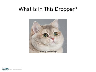 What Is In This Dropper?
 