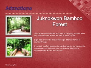 This dense bamboo thicket is located in Damyang, another "slow
city" that welcomes all who are tired of hectic city life.
Eight trails around the thicket offer eight different themes to
saunter through.
If you look carefully between the bamboo plants, you can spot the
green tea shoots that grow from the dew that drips off the
bamboo leaves, known as Jukro tea.
Hyeon Jung Kim
 