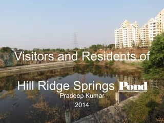 Visitors and Residents of
Hill Ridge Springs Pond
Pradeep Kumar
2014
 