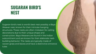 Visit to.pdf Zoological Survey of India western Regional Centre, Pune | PDF