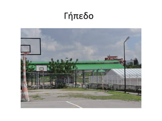 Γήπεδο 
 