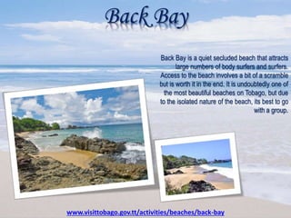 Back Bay
Back Bay is a quiet secluded beach that attracts
large numbers of body surfers and surfers.
Access to the beach involves a bit of a scramble
but is worth it in the end. It is undoubtedly one of
the most beautiful beaches on Tobago, but due
to the isolated nature of the beach, its best to go
with a group.
www.visittobago.gov.tt/activities/beaches/back-bay
 