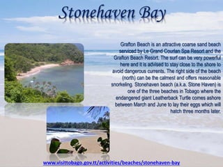 Stonehaven Bay
Grafton Beach is an attractive coarse sand beach
serviced by Le Grand Courlan Spa Resort and the
Grafton Beach Resort. The surf can be very powerful
here and it is advised to stay close to the shore to
avoid dangerous currents. The right side of the beach
(north) can be the calmest and offers reasonable
snorkeling. Stonehaven beach (a.k.a. Stone Haven) is
one of the three beaches in Tobago where the
endangered giant Leatherback Turtle comes ashore
between March and June to lay their eggs which will
hatch three months later.
www.visittobago.gov.tt/activities/beaches/stonehaven-bay
 