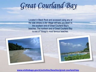 Great Courland Bay
Located in Black Rock and accessed using any of
the side streets in the village will take you down to
the southern end of Great Courland Bay's
beaches. The northern end of Great Courland Bay
is one of Tobago's most famous beaches.
www.visittobago.gov.tt/activities/beaches/great-courland-bay
 