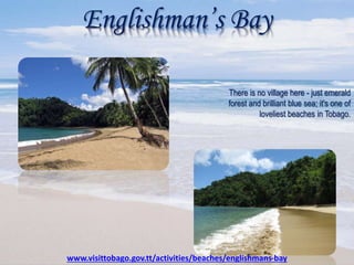 Englishman’s Bay
There is no village here - just emerald
forest and brilliant blue sea; it's one of
loveliest beaches in Tobago.
www.visittobago.gov.tt/activities/beaches/englishmans-bay
 