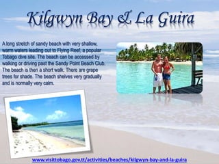 Kilgwyn Bay & La Guira
A long stretch of sandy beach with very shallow,
warm waters leading out to Flying Reef, a popular
Tobago dive site. The beach can be accessed by
walking or driving past the Sandy Point Beach Club.
The beach is then a short walk. There are grape
trees for shade. The beach shelves very gradually
and is normally very calm.
www.visittobago.gov.tt/activities/beaches/kilgwyn-bay-and-la-guira
 