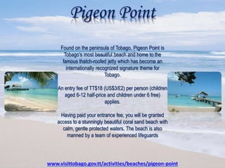 Pigeon Point
Found on the peninsula of Tobago, Pigeon Point is
Tobago’s most beautiful beach and home to the
famous thatch-roofed jetty which has become an
internationally recognized signature theme for
Tobago.
An entry fee of TT$18 (US$3/£2) per person (children
aged 6-12 half-price and children under 6 free)
applies.
Having paid your entrance fee, you will be granted
access to a stunningly beautiful coral sand beach with
calm, gentle protected waters. The beach is also
manned by a team of experienced lifeguards
www.visittobago.gov.tt/activities/beaches/pigeon-point
 