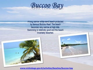 Buccoo Bay
A long narrow white-sand beach protected
by famous Buccoo Reef. The beach
becomes very narrow at high tide.
Swimming is relatively good and the beach
invariably deserted.
www.visittobago.gov.tt/activities/beaches/buccoo-bay
 