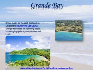 Grande Bay
Known locally as The Wall, this beach is
just past the Mount Irvine Golf Course.
Grange Bay is ideal for swimming and an
increasingly popular spot with surfers and
locals.
www.visittobago.gov.tt/activities/beaches/grange-bay
 