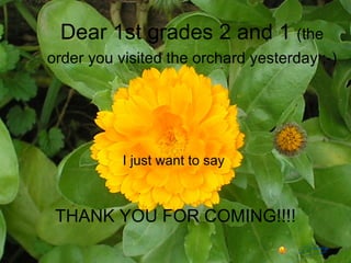 Dear 1st grades 2 and 1  (the order you visited the orchard yesterday ;-)   I just want to say  THANK YOU FOR COMING!!!! 