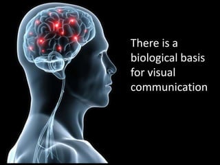 There is a biological basis for visual communication