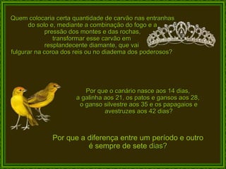 Quem colocaria certa quantidade de carvão nas entranhas do solo e, mediante a combinação do fogo e a pressão dos montes e das rochas,  transformar esse carvão em  resplandecente diamante, que vai  fulgurar na coroa dos reis ou no diadema dos poderosos?  Por que o canário nasce aos 14 dias,  a galinha aos 21, os patos e gansos aos 28,  o ganso silvestre aos 35 e os papagaios e avestruzes aos 42 dias? Por que a diferença entre um período e outro  é sempre de sete  dias?  
