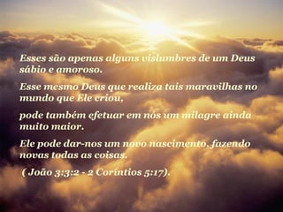 Esses são apenas alguns vislumbres de um Deus
sábio e amoroso.
Esse mesmo Deus que realiza tais maravilhas no
mundo que Ele criou,
pode também efetuar em nós um milagre ainda
muito maior.
Ele pode dar-nos um novo nascimento, fazendo
novas todas as coisas.
( João 3:3:2 - 2 Coríntios 5:17).
 