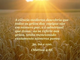 A ciência moderna descobriu que
todos os grãos das espigas são
em número par, e é admirável
que Jesus, ao se referir aos
grãos, tenha mencionado
exatamente números pares:
30, 60 e 100.
(Marcos 4:8).
 