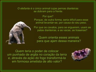 O elefante é o único animal cujas pernas dianteiras  se dobram para a frente. Por que? Porque, de outra forma, seria difícil para esse animal levantar-se, por causa do seu peso. Por que os cavalos, para se erguerem, usam as patas dianteiras, e as vacas, as traseiras? Quem orienta esses animais  para que ajam dessa maneira?  Quem teria o poder de colocar  um punhado de argila no coração da terra  e, através da ação do fogo transformá-la  em formosa ametista de alto valor?  
